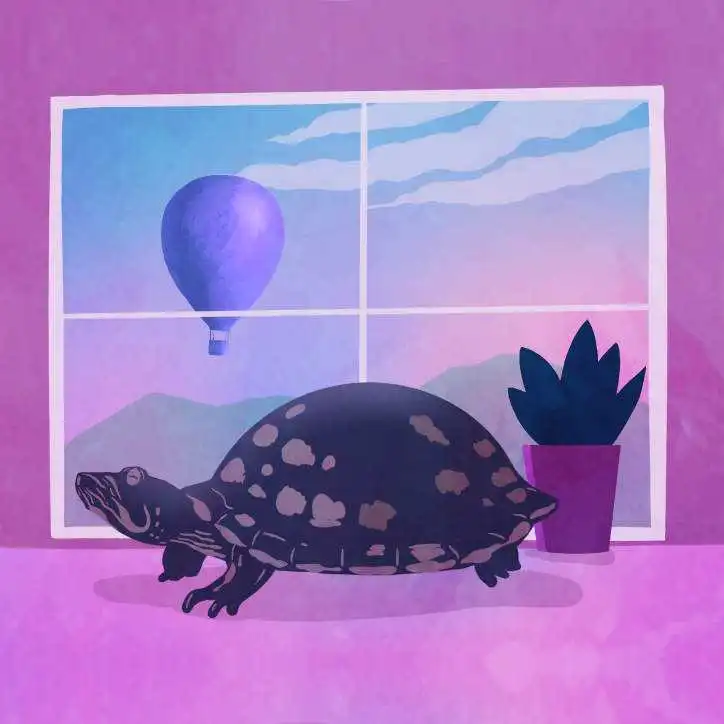 cta-turtle.webp